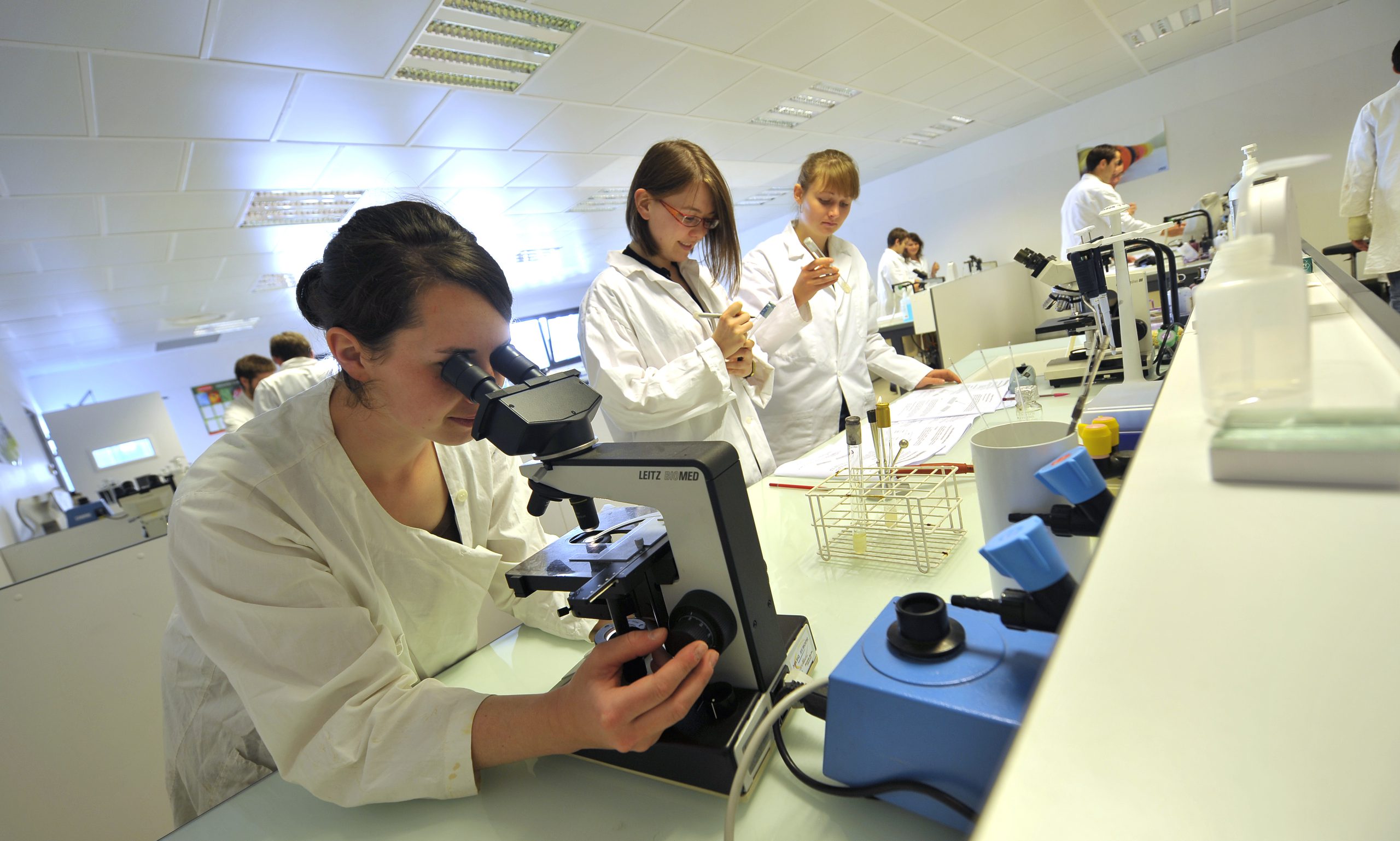 Outil de diagnostic des sols pour les campus durables — Outil de diagnostic des sols pour les campus durables